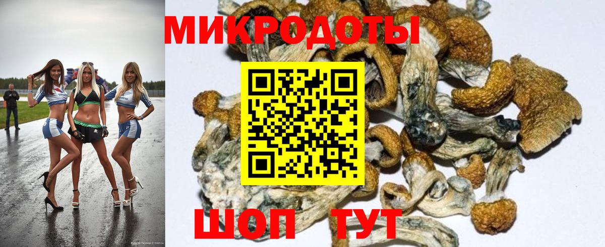 Псилоцибиновые грибы ЛСД Кузнецк