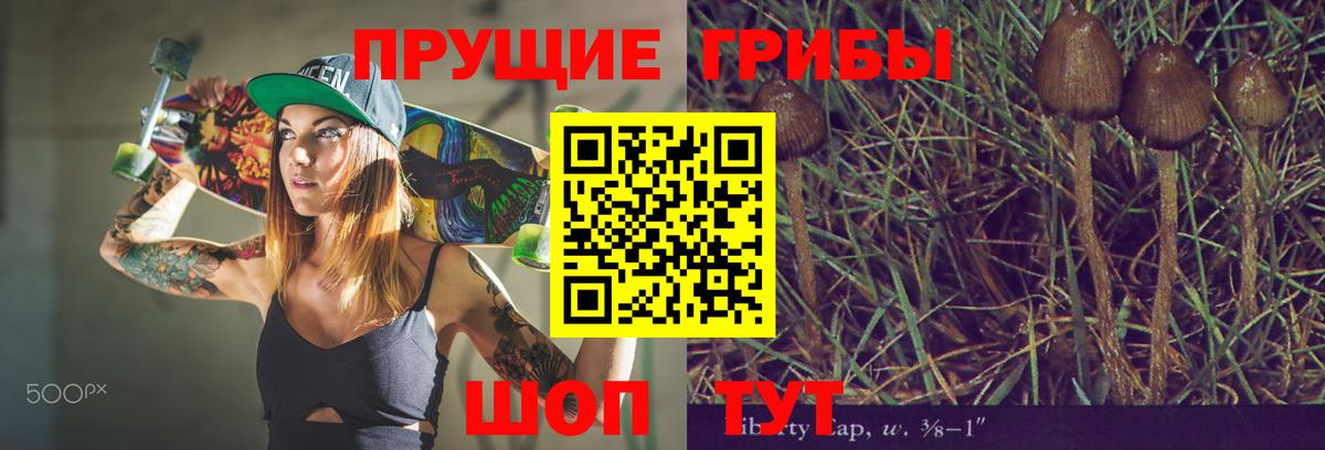 закладка  Вход с VPN  Кузнецк  Псилоцибиновые грибы мицелий 